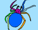 Desenho Aranha venenosa pintado por ARTHUR FERRÃO