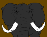 Desenho Elefante africano pintado por qqqq