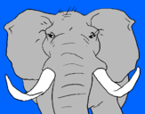 Desenho Elefante africano pintado por Diogo