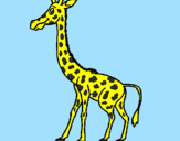 Desenho Girafa pintado por hemilyn