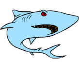 Desenho Tubarão pintado por HENRIQUE-GOLFINHO