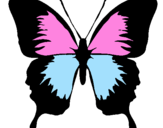 Desenho Borboleta com asas negras pintado por kedma