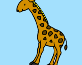 Desenho Girafa pintado por Patricia