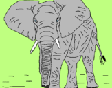 Desenho Elefante pintado por miguel  victor  souza
