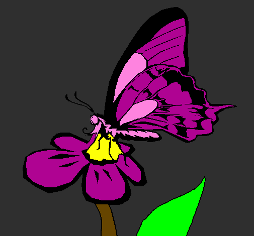 Borboleta numa flor