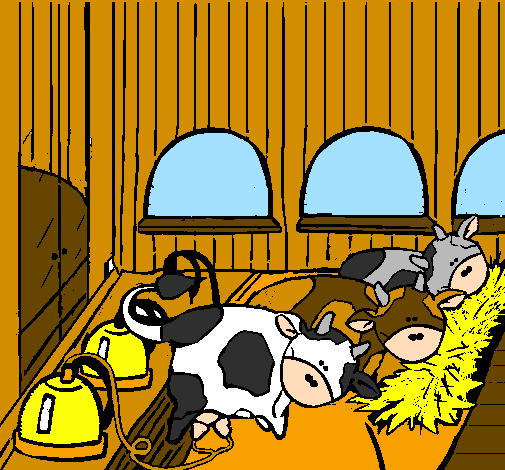 Vacas no estábulo