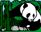 Desenho Urso panda e bambu pintado por Livia