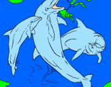Desenho Golfinhos a brincar pintado por marcos