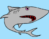 Desenho Tubarão pintado por camilli-tubarau