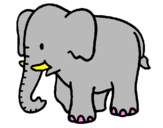 Desenho Elefante bebé pintado por d
