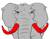 Desenho Elefante africano pintado por vinicius