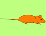 Desenho Rata pintado por elisa