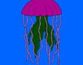 Desenho Medusa pintado por yan