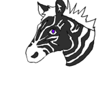 Desenho Zebra II pintado por italo