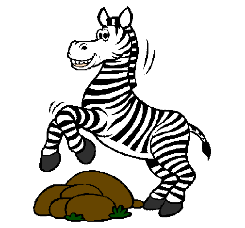 Zebra a saltar pedras