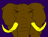 Desenho Elefante africano pintado por gummy