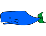 Desenho Baleia azul pintado por joao vitor