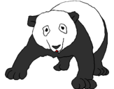 Desenho Urso panda pintado por iago 2º C