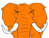 Desenho Elefante africano pintado por junior