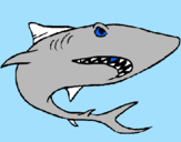 Desenho Tubarão pintado por GABRIEL