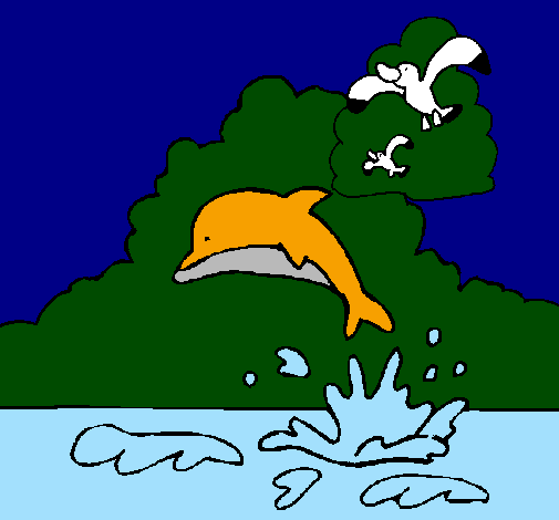 Golfinho e gaviota
