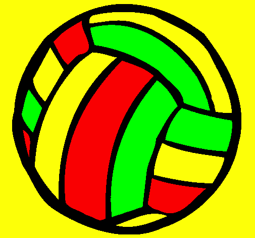 Bola de voleibol