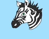 Desenho Zebra II pintado por enzo