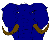 Desenho Elefante africano pintado por FREDERICO
