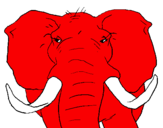 Desenho Elefante africano pintado por lucas