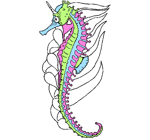 Como Desenhar um CAVALO-MARINHO, how to draw a seahorse