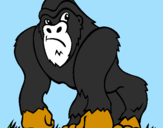 Desenho Gorila pintado por sofy