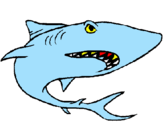 Desenho Tubarão pintado por rafael