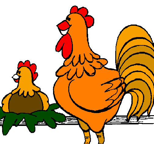 Desenho Galo e galinha pintado por galos