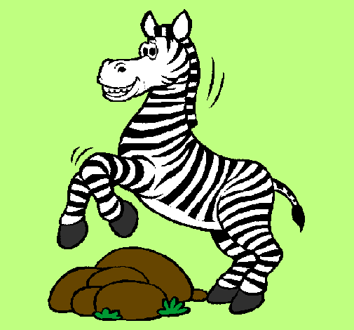 Zebra a saltar pedras