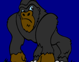 Desenho Gorila pintado por JULIA
