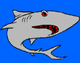 Desenho Tubarão pintado por gabryel
