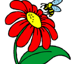 Desenho Margarida com abelha pintado por Yara Bianca