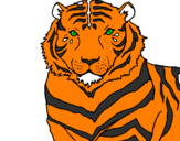 Desenho Tigre pintado por bel