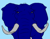 Desenho Elefante africano pintado por gabriel    ribeiro borge 
