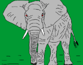 Desenho Elefante pintado por ELDRIANO