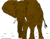 Desenho Elefante pintado por arthur