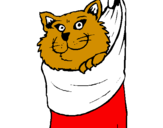 Desenho Gato dentro de uma meia pintado por gabriela