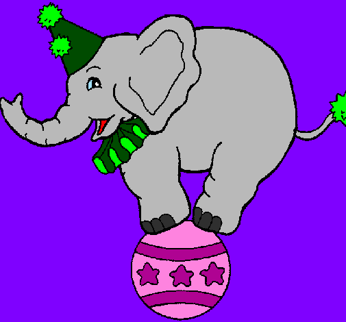 Elefante em cima de uma bola