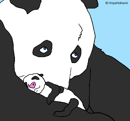Urso panda com a sua cria