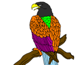 Desenho Águia num ramo pintado por joao victor