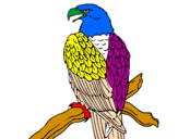 Desenho Águia num ramo pintado por DENTE