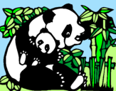 Desenho Mamã panda pintado por plinia