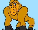 Desenho Gorila pintado por vick