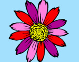 Desenho Girassol pintado por liliana