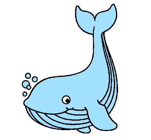 Desenho de Pequena baleia para Colorir - Colorir.com